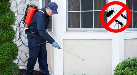 Tuşba Karınca İlaçlama böcek ilaçlama ve haşere kontrolü — ilaclama-tr.com